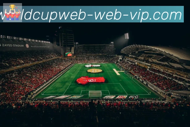 美加墨世界杯直播官方网站服务体系