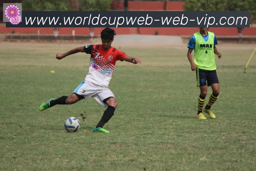 美加墨世界杯直播官方网站APP 高清赛事图