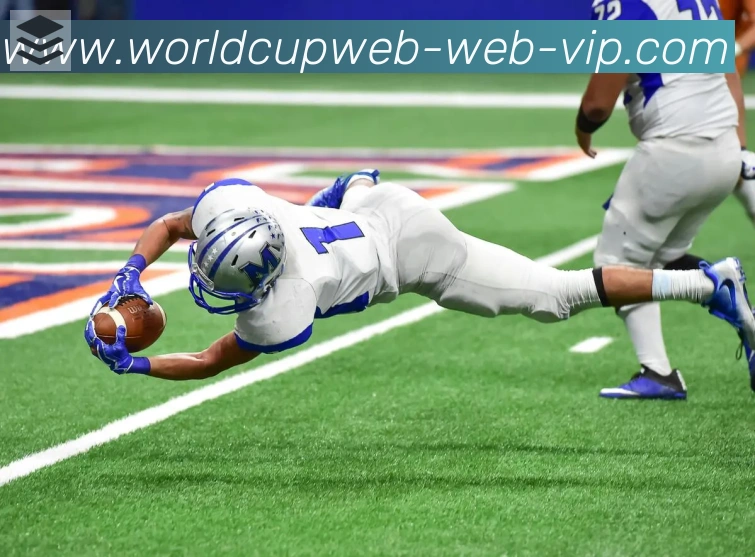 美加墨世界杯直播官方网站荣誉