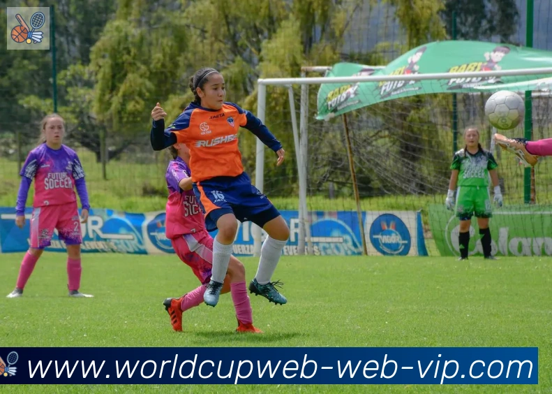 美加墨世界杯直播官方网站荣誉