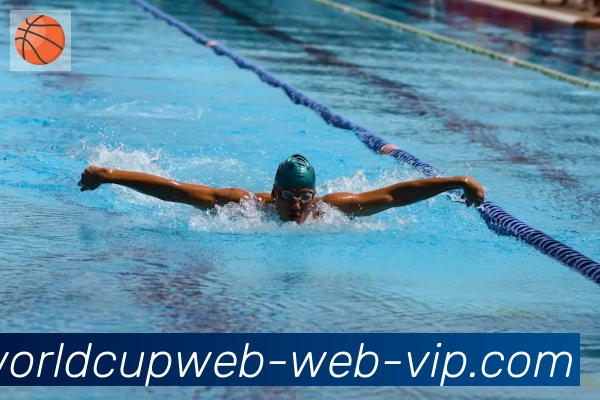 美加墨世界杯直播官方网站荣誉