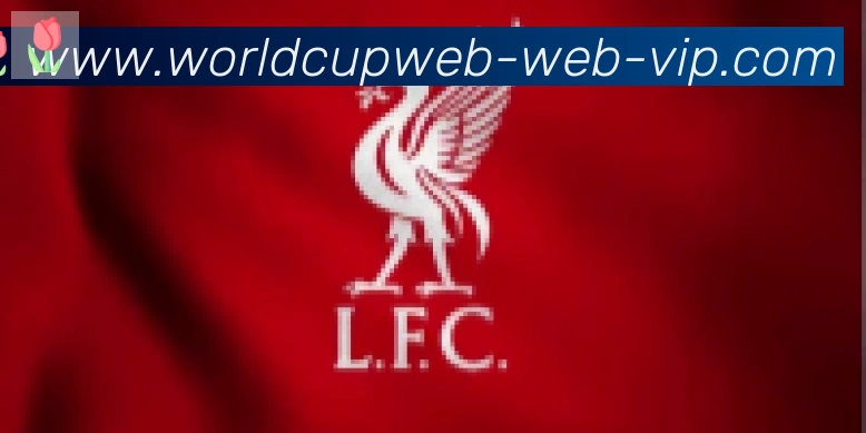 美加墨世界杯直播官方网站合作伙伴